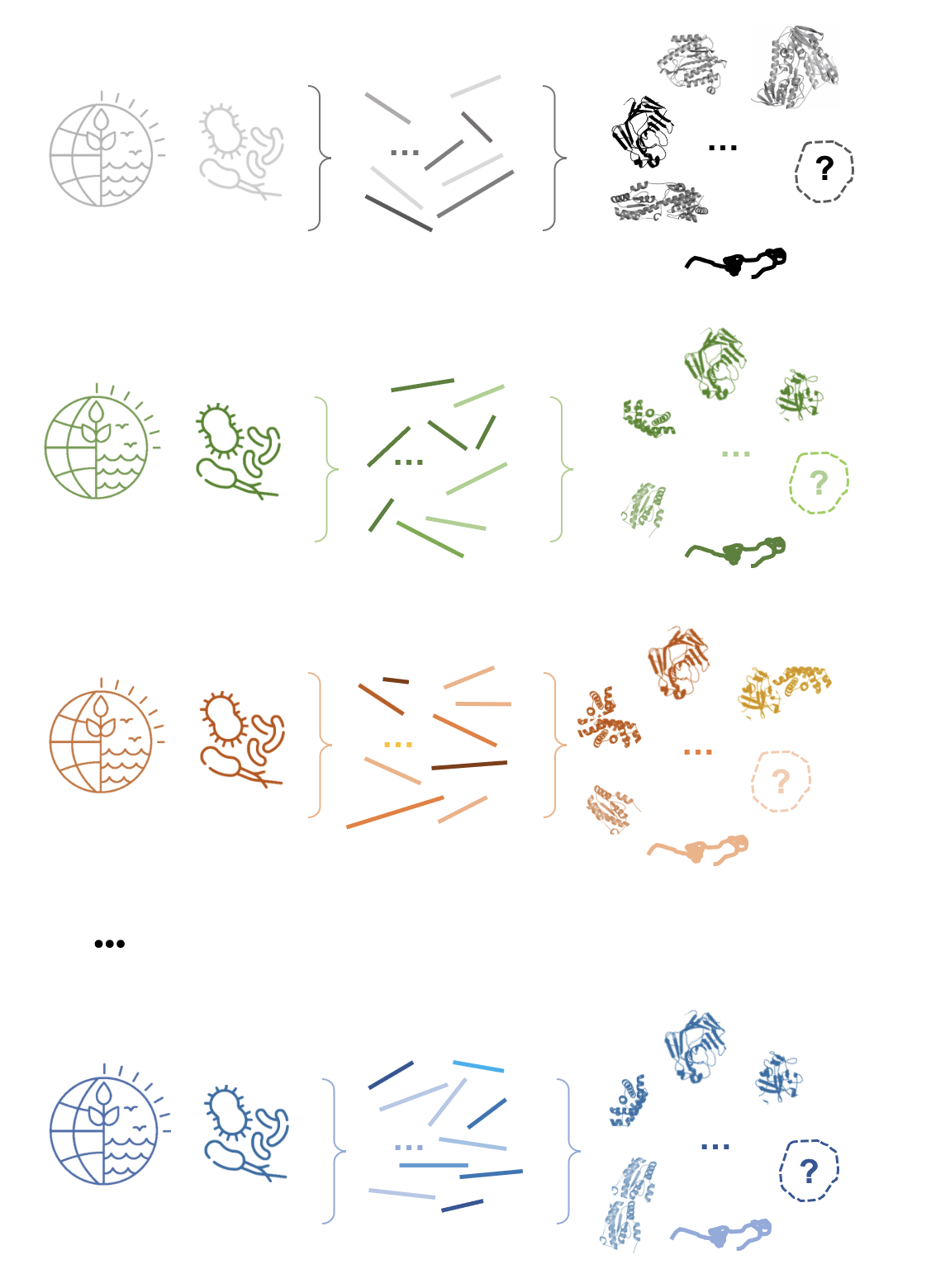 Protein-protein interaction networks