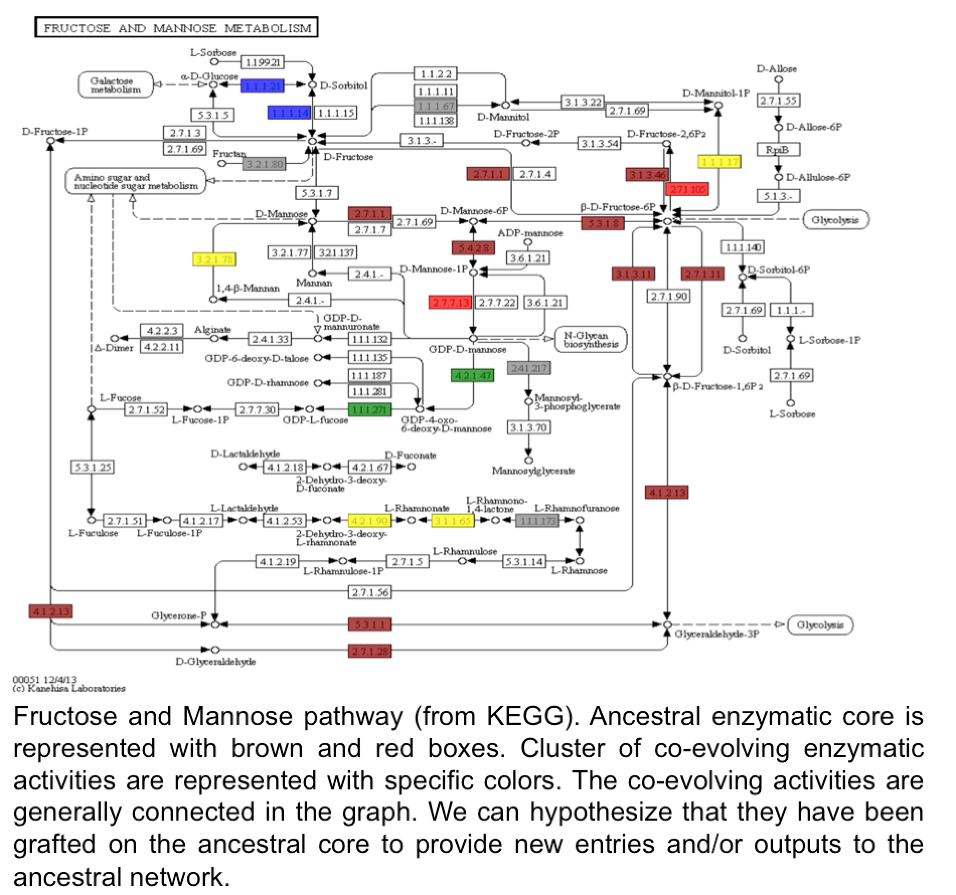 Fructose and mannose metabolic pathway from KEGG