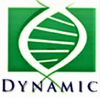 Link to DYNAMIC